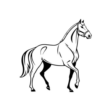 Dynamic Horse Line Art Vector Design clipart