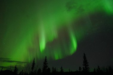 Kuzey Işıkları ya da Yukon Kanada 'da Aurora Borealis olarak da bilinir.