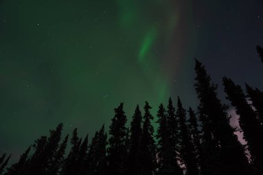 Kuzey Işıkları ya da Yukon Kanada 'da Aurora Borealis olarak da bilinir.