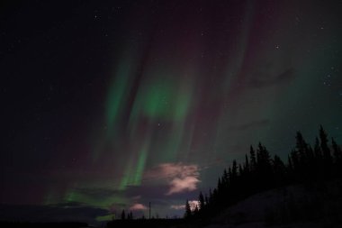 Kuzey Işıkları ya da Yukon Kanada 'da Aurora Borealis olarak da bilinir.