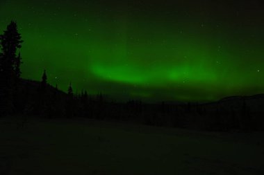 Kuzey Işıkları ya da Yukon Kanada 'da Aurora Borealis olarak da bilinir.