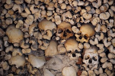 Şapel kemik Kraliyet Kilisesi St Francis, Evora, Alentejo, Portekiz