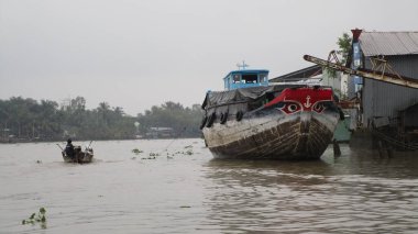 Vietnam teknesi yüzen pazarda meyve satıyor, Mekong Nehri Delta, Vietnam