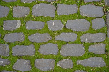 Azores 'teki Terceira Adası' nın arka bahçesinde asimetrik yeşil zemin