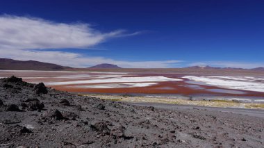 Bolivya, Altiplano, Eduardo Avaroa Andean Ulusal Rezervi, Laguna Colorada ve Dali Çölü