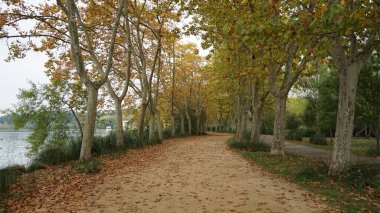 Tranquil Banyoles lake surrounded by lush green grassy fields on a cloudy day clipart