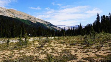 İngiliz Kolombiyası 'ndaki Yoho Ulusal Parkı' nın Dağ ve Nehir Manzarası