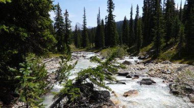 İngiliz Kolombiyası 'ndaki Yoho Ulusal Parkı' nın Dağ ve Nehir Manzarası