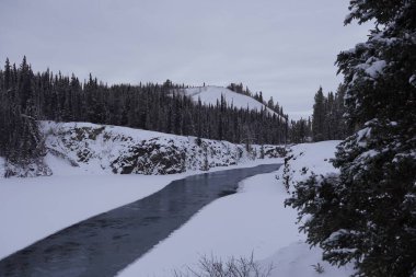 Kuzey Kanada 'da kışın inanılmaz Miles Canyon. Sıkıcı ormanın muhteşem manzarası..