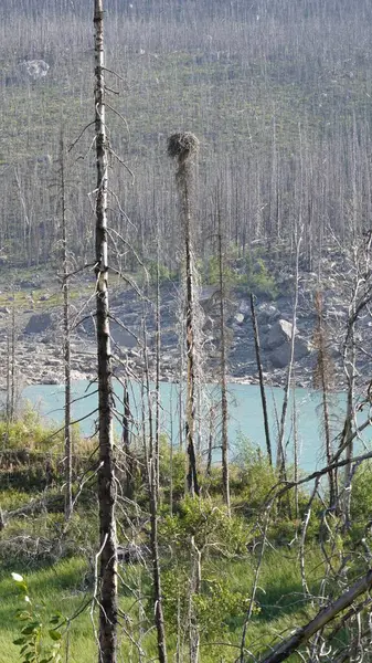 Maligne Gölü Yolu, Maligne Gölü, Jasper Ulusal Parkı, Kanada