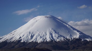 Parinacota volkanı ve Chungara Gölü, Şili 'deki Lauca Ulusal Parkı