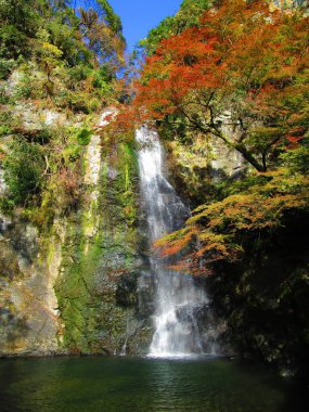 Renkli sonbahar sezonunda Osaka, Japonya 'daki boş insanlarla güzel Minoo manzarası
