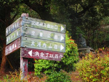 Arashiyama 'dan güzel Japonya' da sonbaharda yürüyüş manzarası