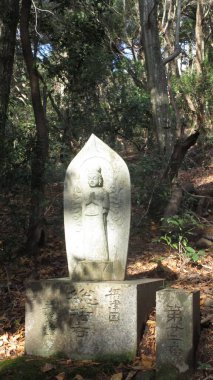 Osaka yakınlarındaki küçük bir kasabadan Nara adı verilen manzaralar, Japonya 'da görülmesi gereken bir şey.