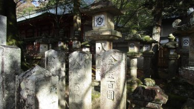 Osaka yakınlarındaki küçük bir kasabadan Nara adı verilen manzaralar, Japonya 'da görülmesi gereken bir şey.