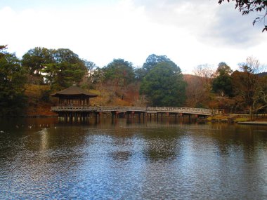 Views from the small town located near by Osaka called Nara, a must see in Japan clipart