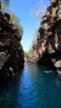 Toprak kırığındaki zümrüt yeşili su uzantısı Las Grietas, Santa Cruz Adası, Galapagos Ulusal Parkı, Ekvador 'un yarığıdır..