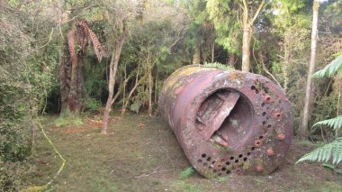 Güzel Yeni Zelanda 'nın Güney Adası manzarası