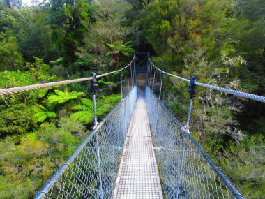 Trekking in Abel Tasman in the South Island in New Zealand clipart