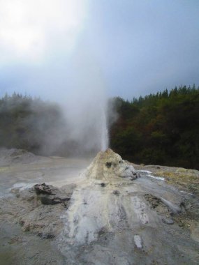 Geyser in thermal lake, Wai-O-Tapu Thermal Wonderland, Rotorua, New Zealand clipart