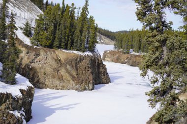 Kuzey Kanada 'da kışın inanılmaz Miles Canyon. Sıkıcı ormanın muhteşem manzarası..