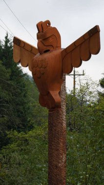 Vancouver Adası manzarası, Kanada 'nın en iyi ve daha vahşi yeri.