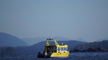 Vancouver Adası manzarası, Kanada 'nın en iyi ve daha vahşi yeri.