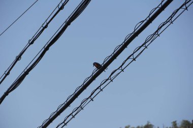 Osaka, Japonya yakınlarındaki Yamanaka nehrinden Wakayama manzarası