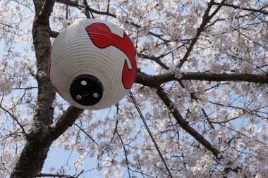 Osaka, Japonya yakınlarındaki Yamanaka nehrinden Wakayama manzarası