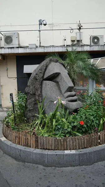 Tokyo şehri çok güzel bir ülke olan Japonya 'yı görüyor.