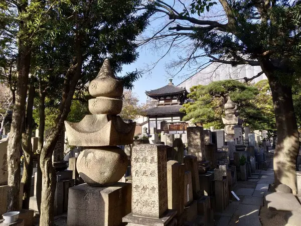 Osaka şehri Japonya 'nın güzel Kansai bölgesinin manzarası