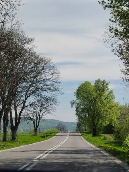 Slovakya Dağları onu seviyor 