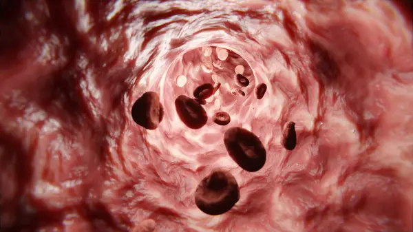 Erytrocyter Röda Blodkroppar Mättnad Människokroppen Med Syre Rörelse Erytrocytceller Genom — Stockfoto