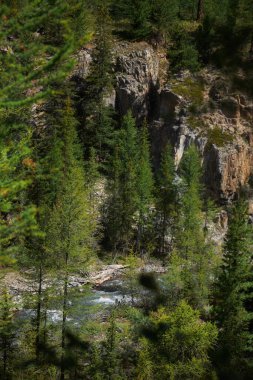 Dağ tepelerinin muhteşem Alp manzarası, bir dağ vadisi manzarası, yazın vadi manzarası. Yürüyüş, vahşi doğa.