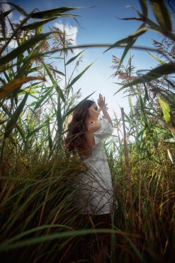Tarladaki uzun otların arasında romantik genç bir kadın. Beyaz elbiseli, rüya gibi kibar bir kadın. Doğal güzellik, hayatın keyfi.