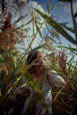 Tarladaki uzun otların arasında romantik genç bir kadın. Beyaz elbiseli, rüya gibi kibar bir kadın. Doğal güzellik, hayatın keyfi.