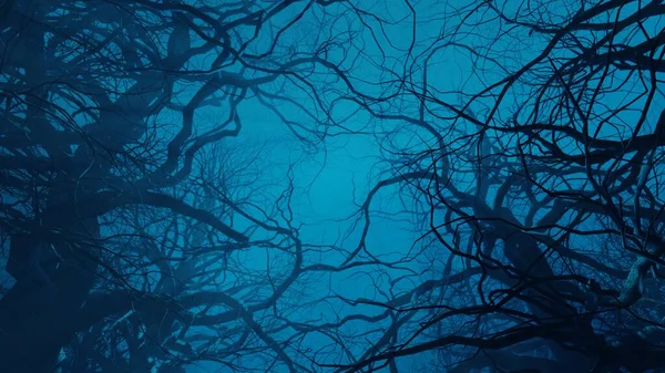 Страшні Дерева Вночі Біля Лісової Дороги Містичний Моторошний Лісовий Пейзаж — стокове фото