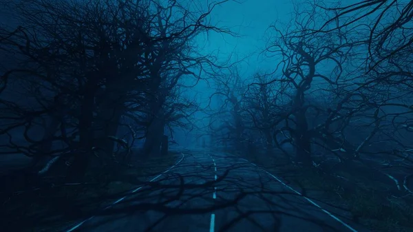 Τρομακτικά Δέντρα Νύχτα Κοντά Στο Δασικό Δρόμο Μυστικό Απόκοσμο Δάσος — Φωτογραφία Αρχείου