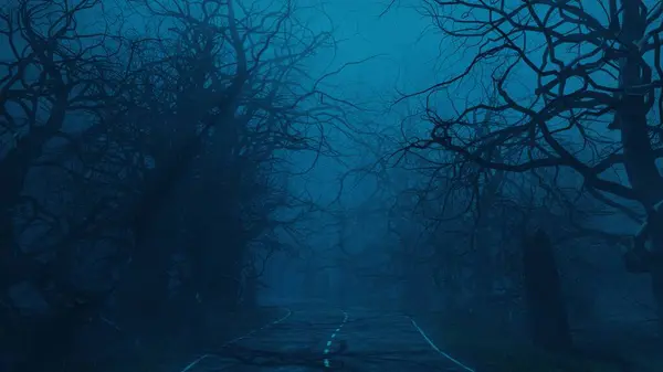 Enge Bomen Nachts Buurt Van Bosweg Mystiek Griezelig Boslandschap Mist — Stockfoto