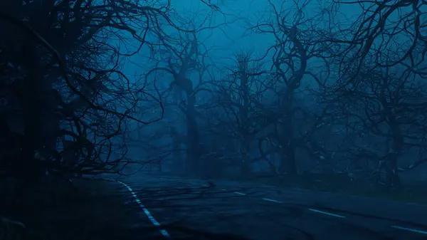 Los Árboles Miedo Noche Cerca Carretera Forestal Místico Paisaje Misterioso — Foto de Stock