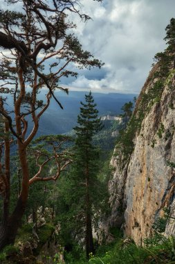 Büyük Thach dağ sırası. Kayalık tepeli yaz manzarası dağı. Rusya, Adygea Cumhuriyeti, Büyük Thach Doğa Parkı, Kafkasya