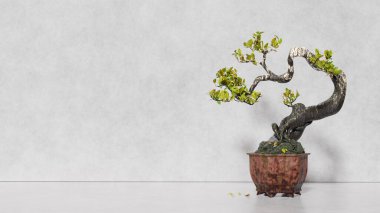 Duvara, iç tasarıma karşı ışık arka planında vazoda süslemeli bitki, metin için yer, tasarım için maket. 3d hazırlayıcı