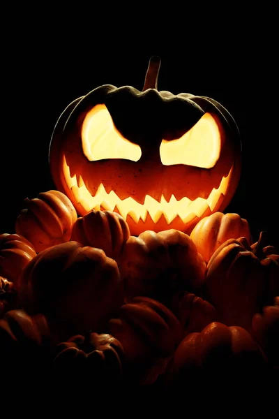 Счастливого Хэллоуина Джек Фонарь Светящиеся Тыквы Лесу День Мертвых Сказочный — стоковое фото