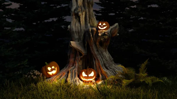 Joyeux Halloween Jack Lanterne Citrouilles Rougeoyantes Dans Forêt Jour Des — Photo