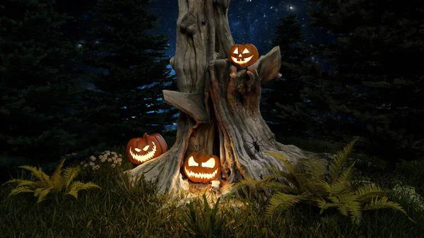 Feliz Dia Das Bruxas Jack Lanterna Brilhando Abóboras Floresta Dia — Fotografia de Stock