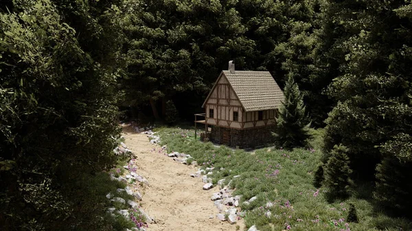 Samotny Średniowieczny Dom Lesie Pobliżu Szlaku Otoczony Drzewami Sosną Jodłą — Zdjęcie stockowe