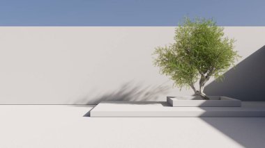 Avluda, duvarlarla çevrili, mavi gökyüzü olan minimalizm mimari ağacı. 3d hazırlayıcı