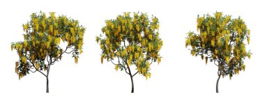 Yeşil yaprakları ve şeffaf arka planda parlak çiçekleri olan güzel bir yaz ağacı seti. 3d hazırlayıcı