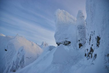 Dağlarda karlı, soğuk kış manzaraları, sabahları karlı ağaçlar, soğuk kuzey rüzgarları. Buzdan köknar ağaçları, Noel