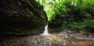 Ormanda küçük bir şelale, ormanda bir dağ nehri, yaz